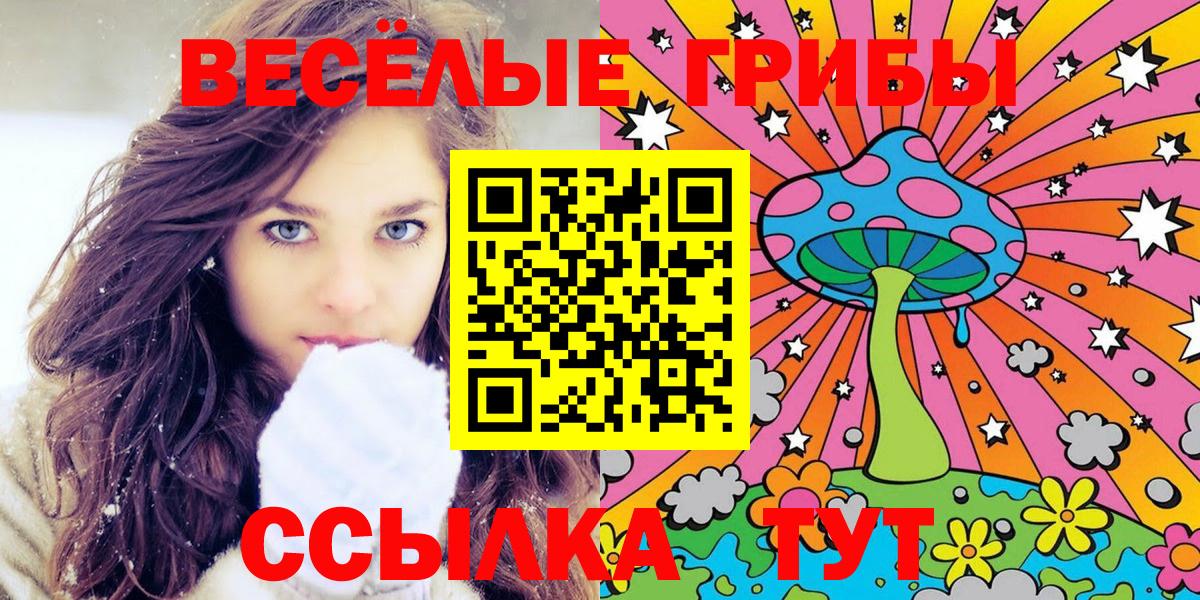 Видное  Псилоцибиновые грибы Psilocybe  Вход с VPN 