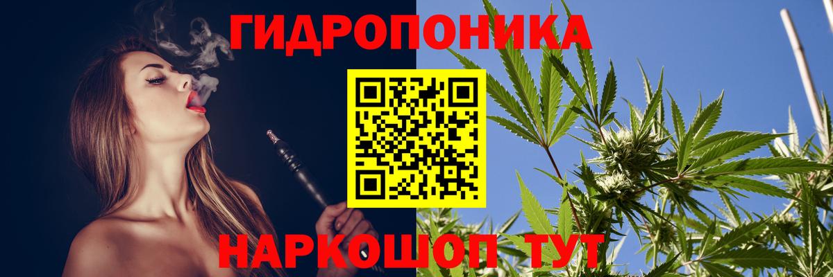 МАРИХУАНА OG Kush  Вход с VPN  Видное  Каннабис гибрид  МАРИХУАНА сатива 